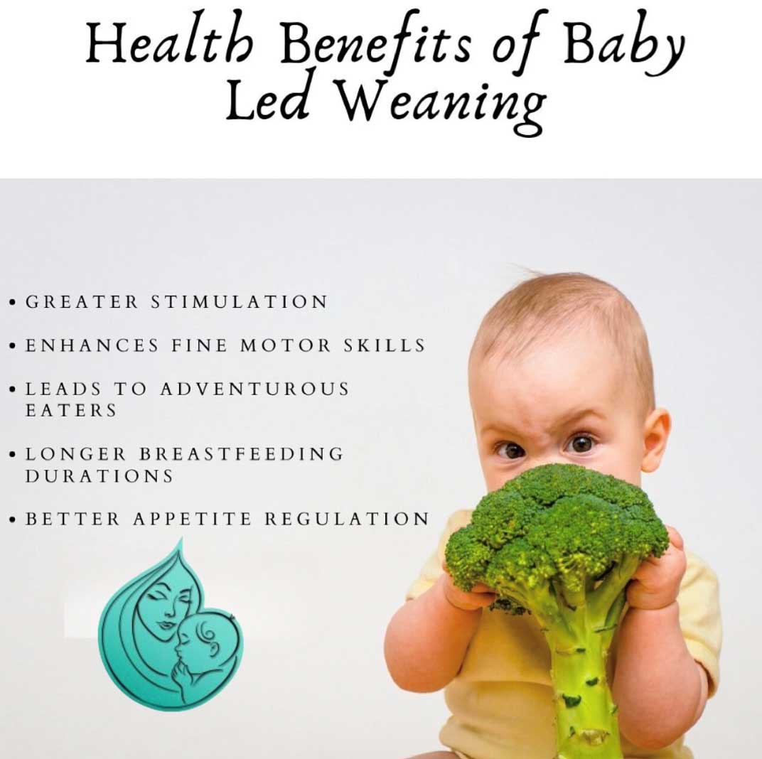 Health benefits of baby-led weaning
